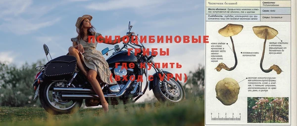 меф Алексин